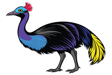 Cassowary in black color C.eps