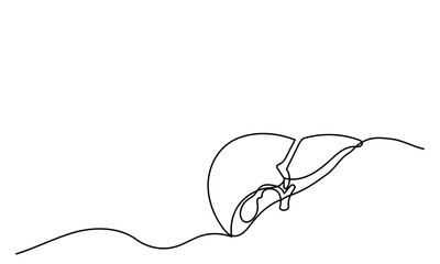 Obraz premium Human liver, Continuous single-line drawing of human internal organ. The concept of a health care happy Healthy lifestyle. Human liver Vector illustration.
