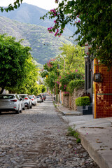 cobblestone street with parked cars with foliage and a hill in the background  in ajijic, jalisco