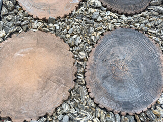 Cutting of round wood stump with small stone as home decoration  background or texture