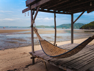 Dog is lie down and play on the beach in summer in Thailand.