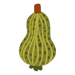 Single element of colorful  orange autumn  pumpkin Symbol of  Halloween and Thanksgiving day. Vector illustration on white background in doodle style.