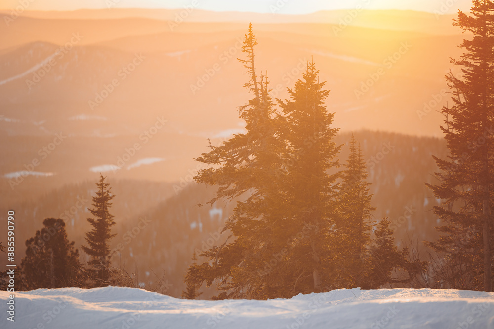 Wall mural winter landscape, snowy trees and fresh snow and frost. blue sky, mountains in sheregesh, russia