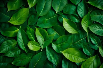 Creative layout made of green leaves Flat lay Nature.