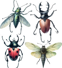 set with various insects in watercolor style