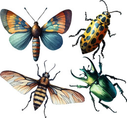 set with various insects in watercolor style