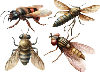 set with various insects in watercolor style