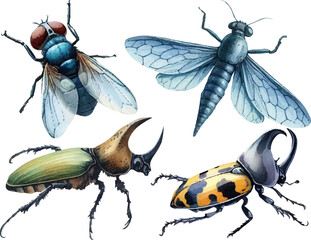 set with various insects in watercolor style © Yulia