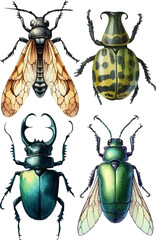 set with various insects in watercolor style