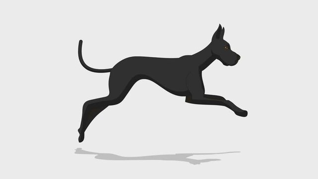 Dog running video animation