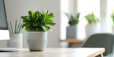 Home office with plant decor motivational quotes ideal for remote work setup. Concept Home Office Plants, Motivational Quotes, Remote Work Setup, Interior Design, Productivity Boosters