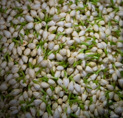 Mogra Jasmine flower bud bunch in a flower market