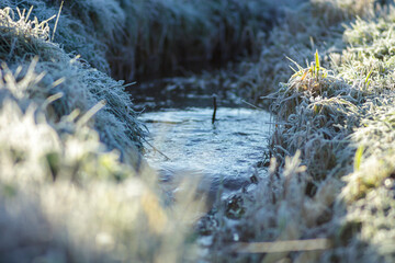 Small stream in frosty landscape