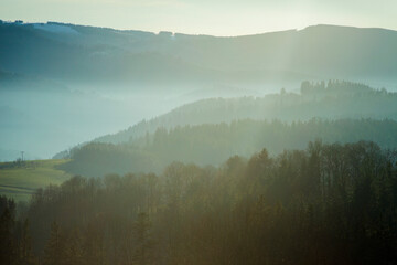 Misty morning in forested mountains