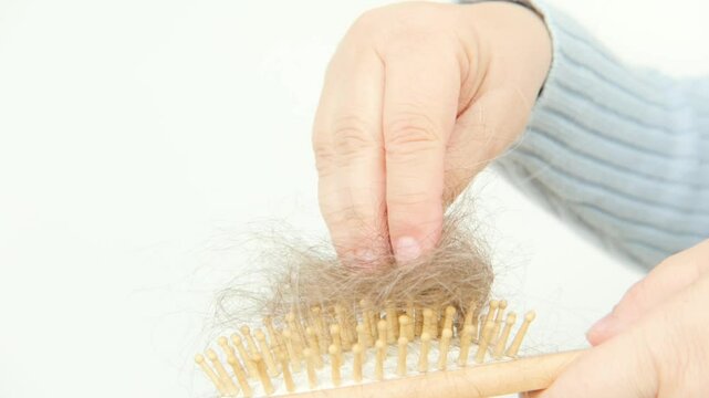 female hand removes clump fallen hair from wooden hairbrush after combing, hair loss problem, symptoms and treatment alopecia, hormonal imbalance