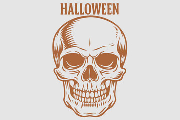 Vintage Human Skull, Human Skull, Skull vector, Skeletion Skull, vintage skeletion skull