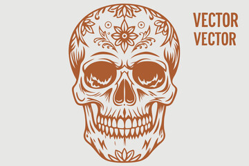 Vintage Human Skull, Human Skull, Skull vector, Skeletion Skull, vintage skeletion skull