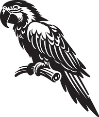 a macaw bird silhouettes vector art illustration 