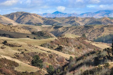 New Zealand