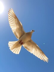 Obraz premium a white dove flying towards the light, clear blue sky, strong light, flash of light, feeling of peace