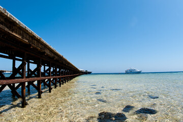 The Red Sea, one of the saltiest seas in the world, is located between Africa and Asia and covers approximately 438,000 km2 (169,100 mi2). Hundreds of hard and soft corals surround this area and are b