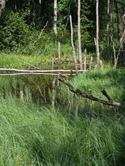 Fototapeta premium lake