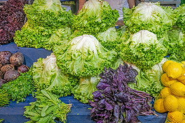 Green lettuces and purple basil from the Turkish market.