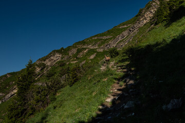 Landscape view of the Swiss alps, shot on the Niesen Mountain, near Interlaken, Bern, Switzerland