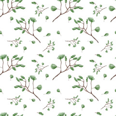 Seamless pattern with aspen branch on isolated background