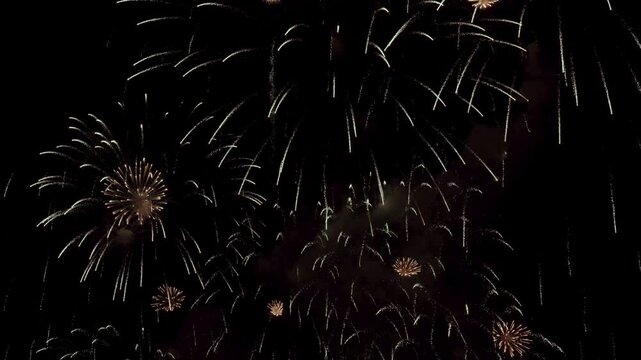 Colorful real fireworks show performance display celebration festival holiday on dark sky for abstract background, anniversary, celebration, 4th July, Independence Day, and new year.