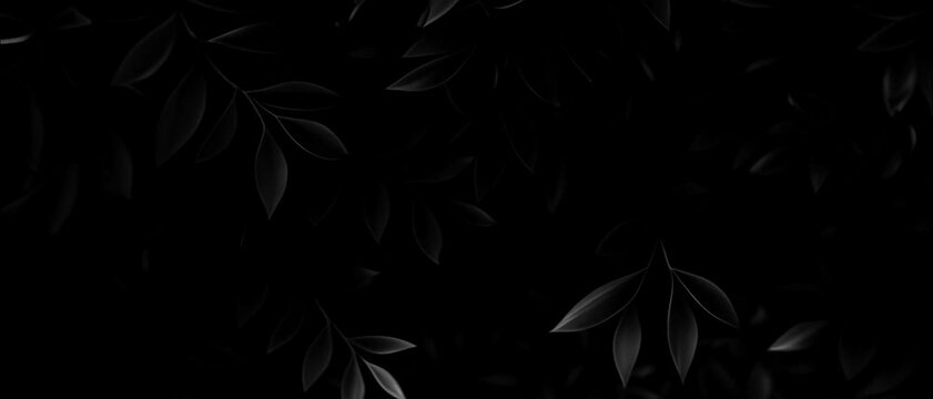 Tropical leaves background effect. Closeup nature view Black and white of green leaf and palms background. Flat lay, dark nature concept, tropical leaf 4k video Beautiful abstract design smooth