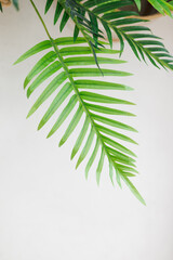 Bottom view of plastic plant leaves on grey background