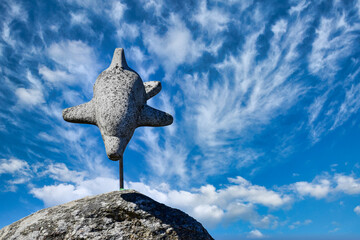 Delfin de piedra © mareguera