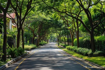 Singapore Trees. Greening the Cityscape: Alley of Trees on a Summer Day in Singapore