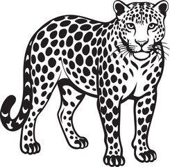  Amur leopard vector silhouette art and illustration