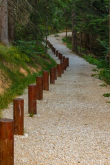 Obraz premium Wood stepping stumps , natural playground at Zlatar mountain in Western Serbia