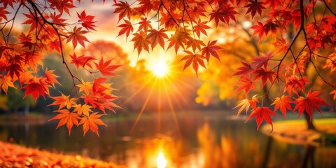 Autumnal Maple Leaves Framing a Sunset, Fall Foliage, Nature Photography, Landscape, Golden Hour  , autumn, leaves