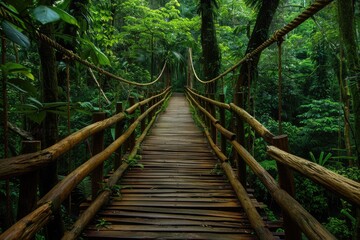 Fototapeta premium Ecuador Jungle. Wooden Food Bridge in the Green Forest of Ecuadorian Amazon
