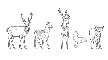 Minimalist Line Art Deer Silhouettes on White Background