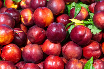 Red nectarine fruits on the market stall.
