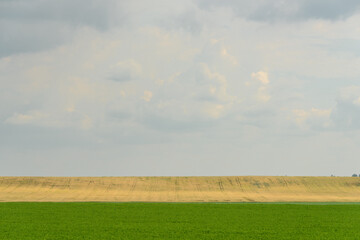 Green and Yellow Stripes in Agricultural Field — Horizontal Minimalistic Summer Landscape