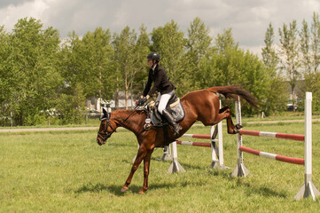 A young girl goes in for horse riding. A horse jumps over a barrier.