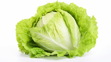 Fototapeta premium cabbage isolated on white background