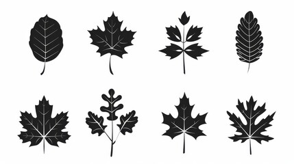 Black and white leaves icons set