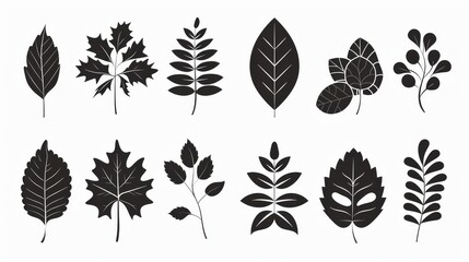 Black and white leaves icons set