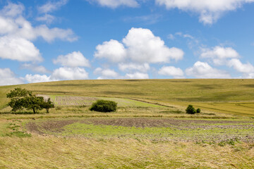 A rural Sussex landscape on a summer's day