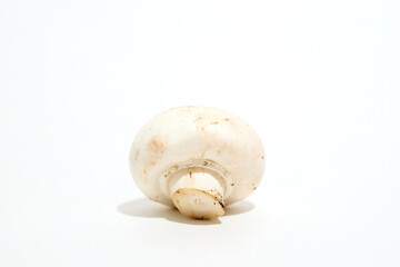 Close Up of a Mushroom on White Background