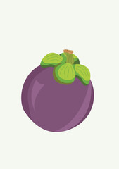Mangosteen