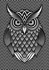 Fototapeta premium Psychedelic Black and White Owl Illustration with Hypnotic Linear Patterns 