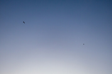 Amanecer en las playas de Cancún, Quintana Roo.